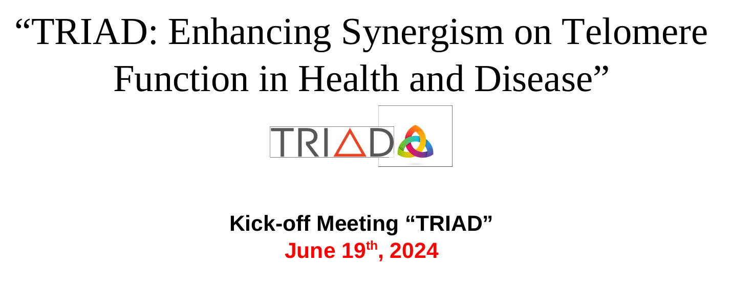 The TRIAD kick-off meeting